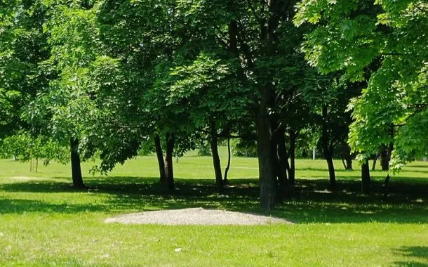 ریلمی 11 پرو پلاس