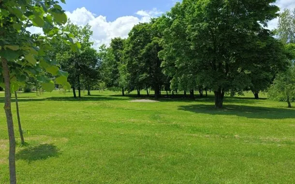 ریلمی 11 پرو پلاس