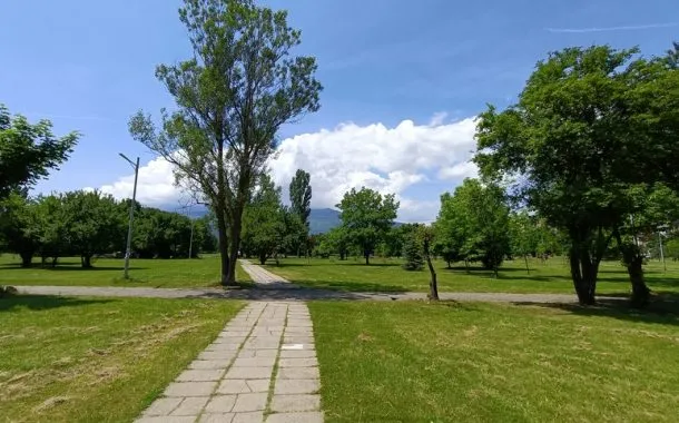 ریلمی 11 پرو پلاس