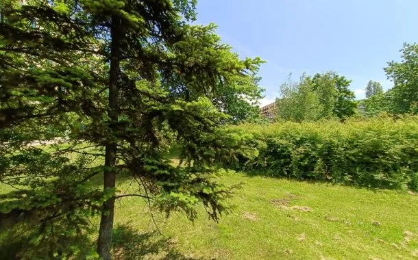 ریلمی 11 پرو پلاس