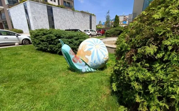 ریلمی 11 پرو پلاس