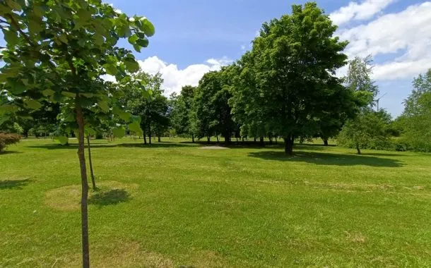 ریلمی 11 پرو پلاس