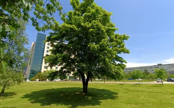 ریلمی 11 پرو پلاس