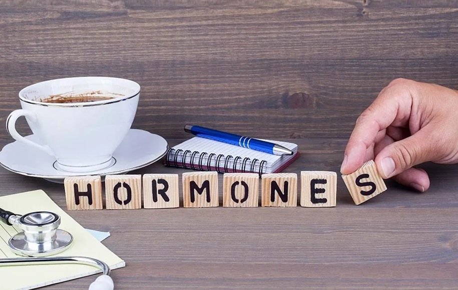 هورمون‌ها چگونه روی نقطه شروع وزنی تأثیر می‌گذارند؟