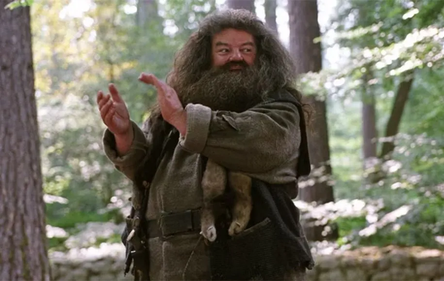 روبیوس هاگرید