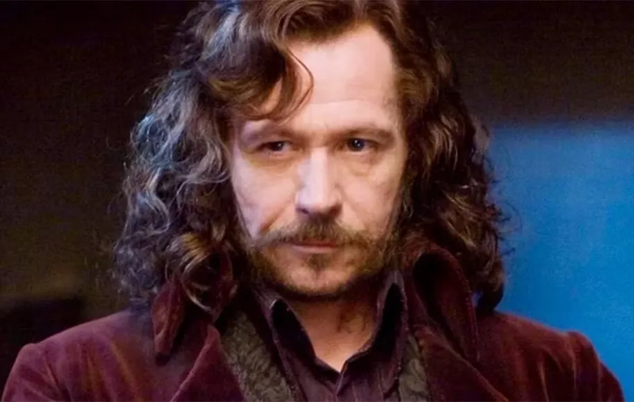 جادوگران هری پاتر