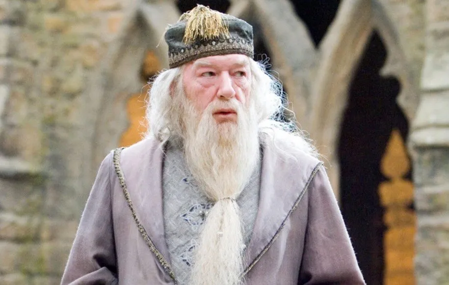 جادوگران هری پاتر