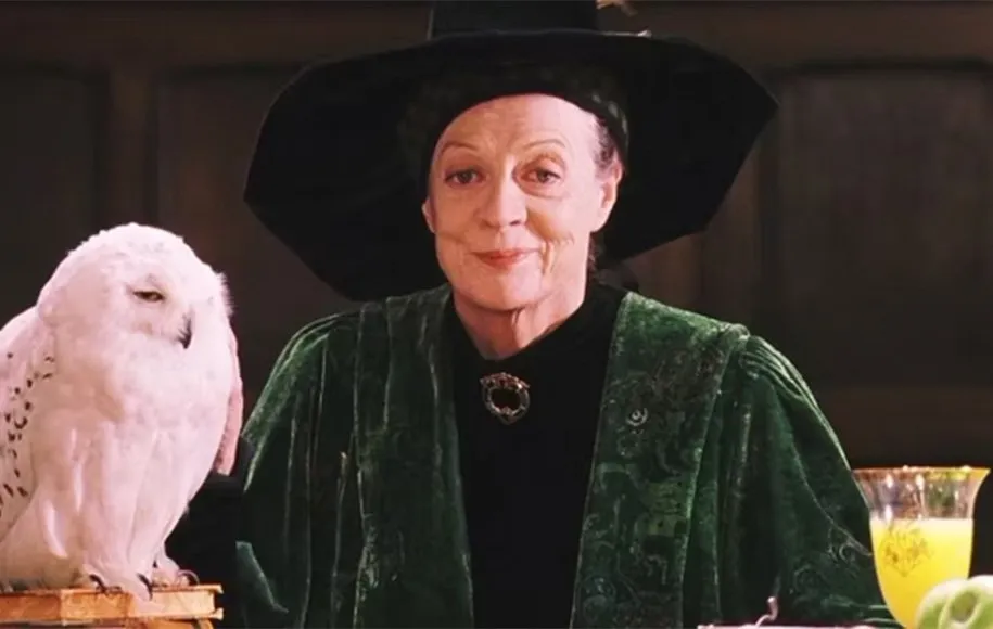 پروفسور مک‌گونگال