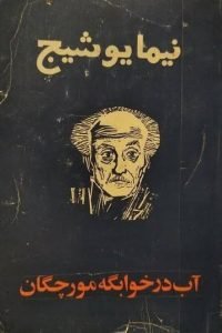 کتاب آب در خوابگه مورچگان نیما یوشیج