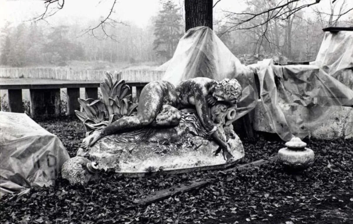 فیلم «نام ونیزی او در کلکتهی متروک»