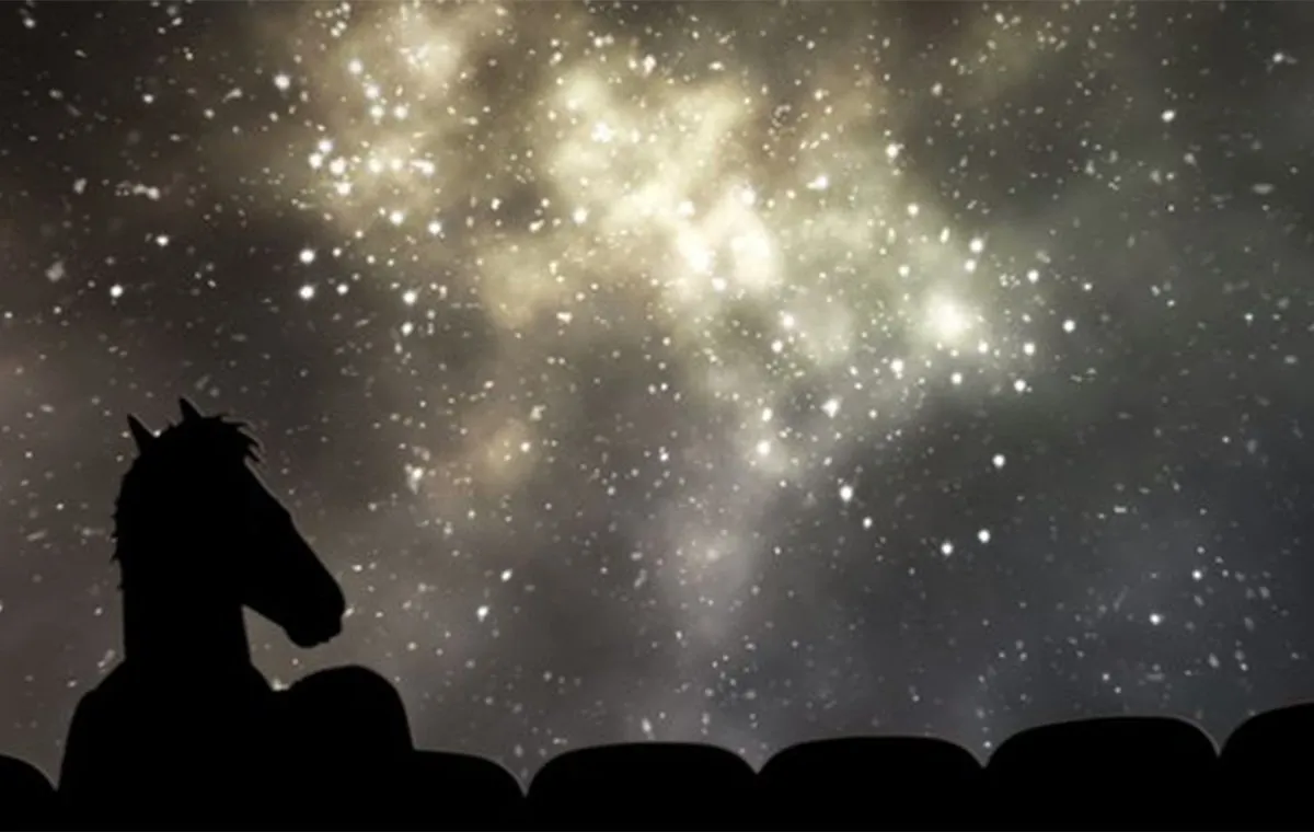 سارالین و بوجک هورسمن