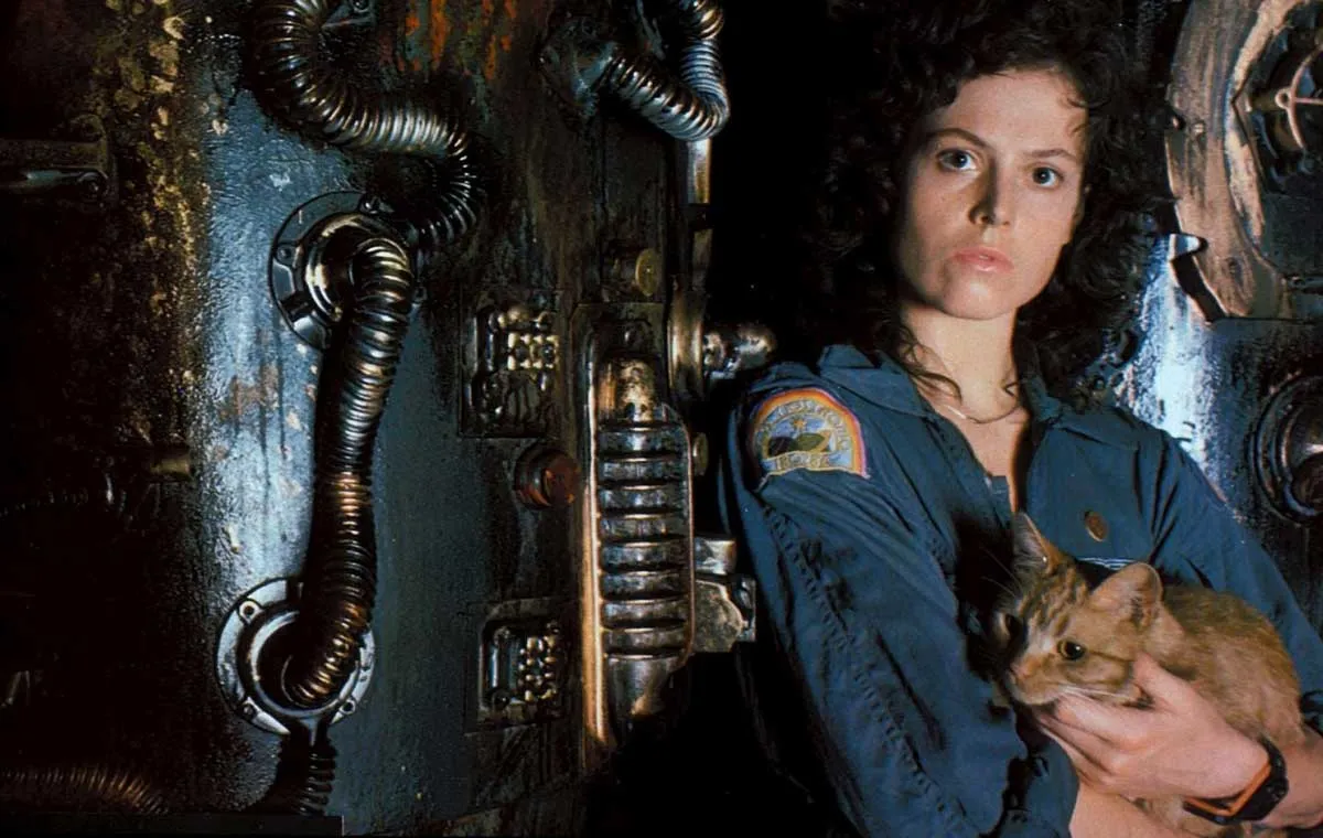 فیلم ترسناک بیگانه