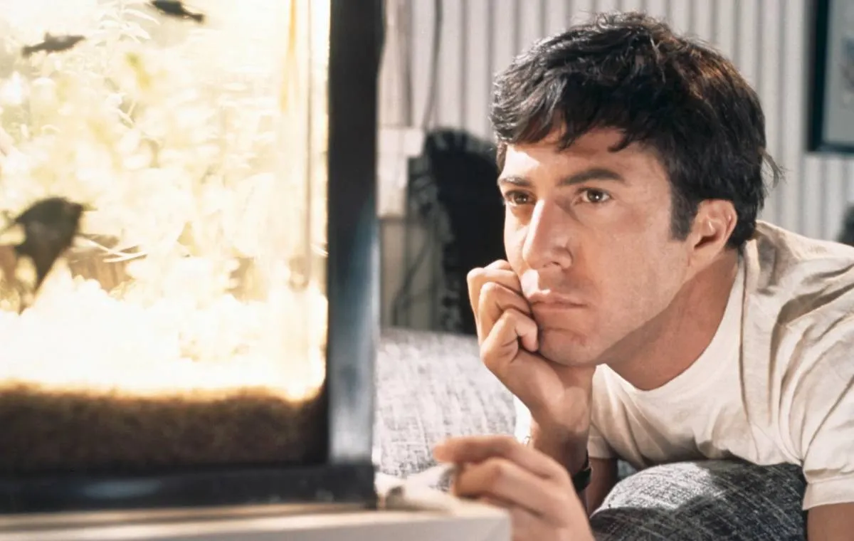 فارغالتحصیل