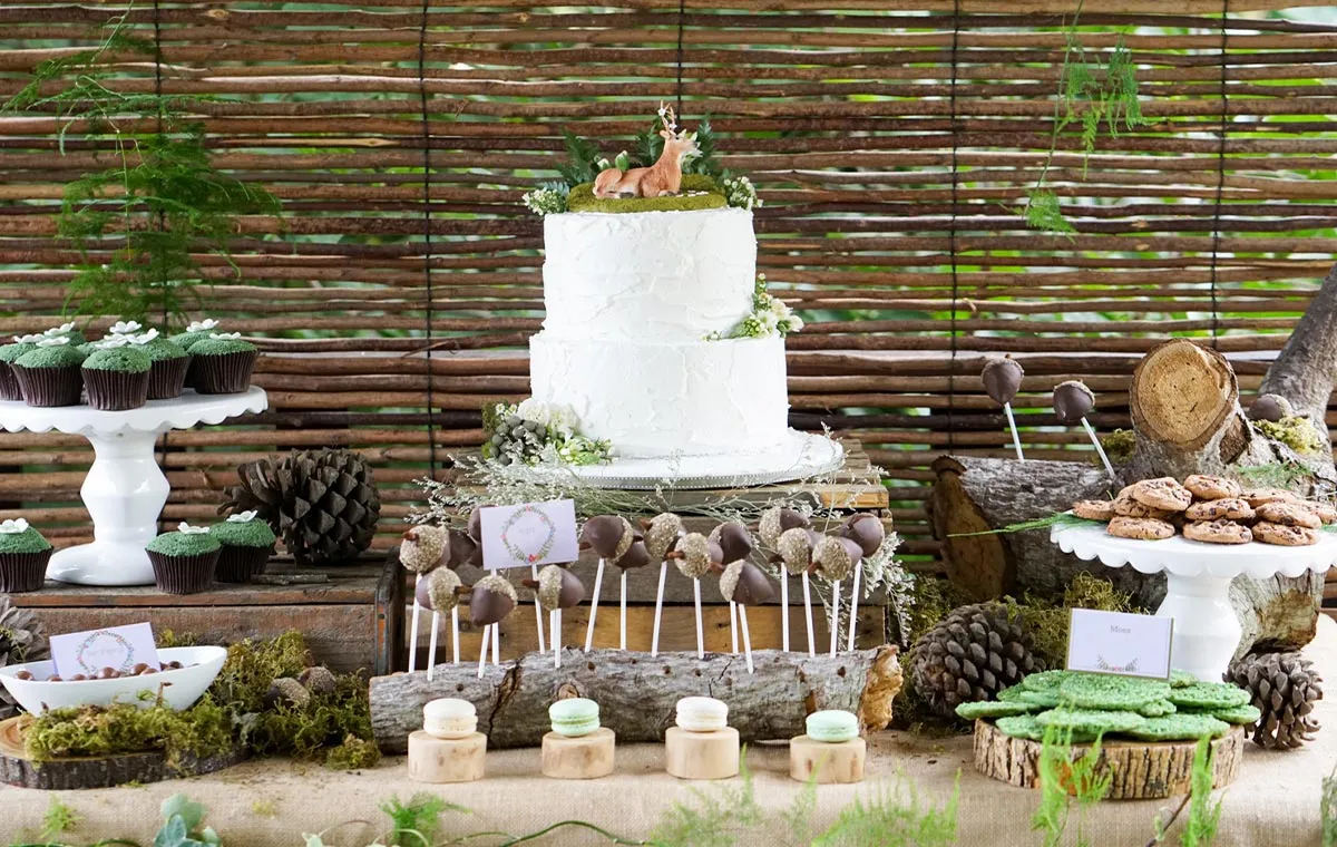 تم تولد چوب و سنگ