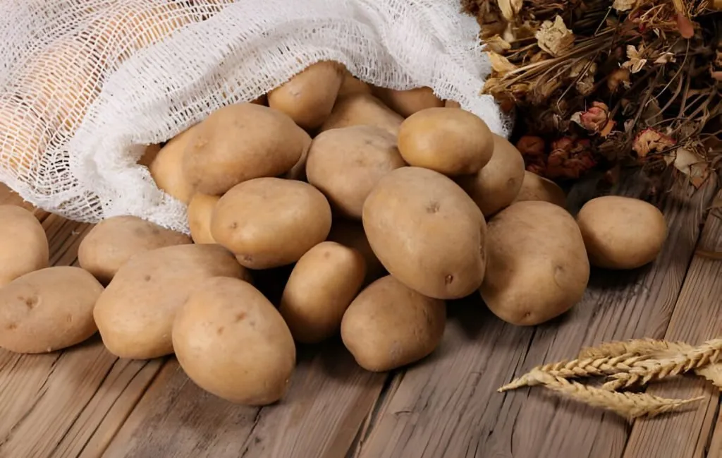 آیا کربوهیدرات باعث چاقی میشود