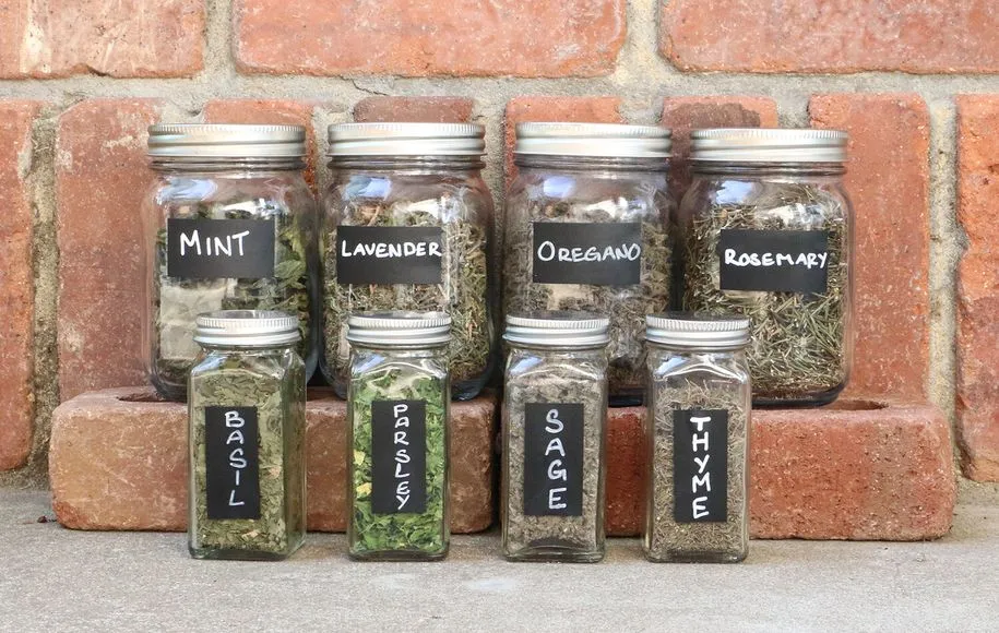 نحوه‌ی نگهداری سبزیجات 