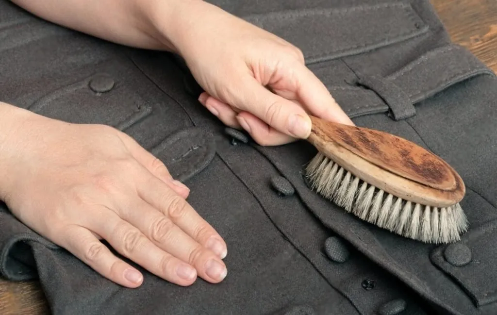 فرچه پرزگیر لباس یکی از انواع پرزگیر