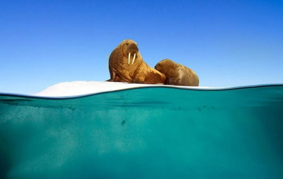 بهترین سریال‌های بریتانیایی