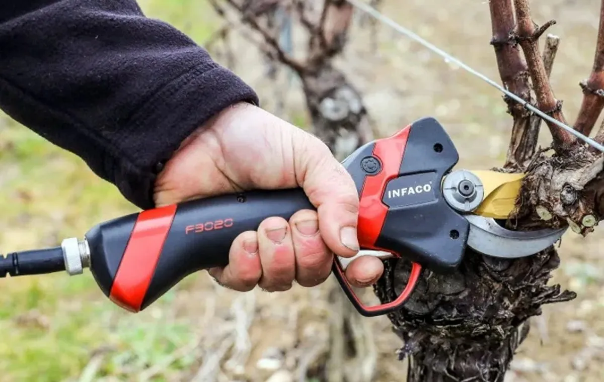 قیچی هرس برقی (Electric Loppers)