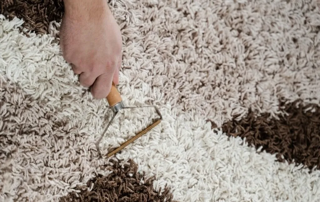 پرزگیر فرش یکی از انواع پرزگیر