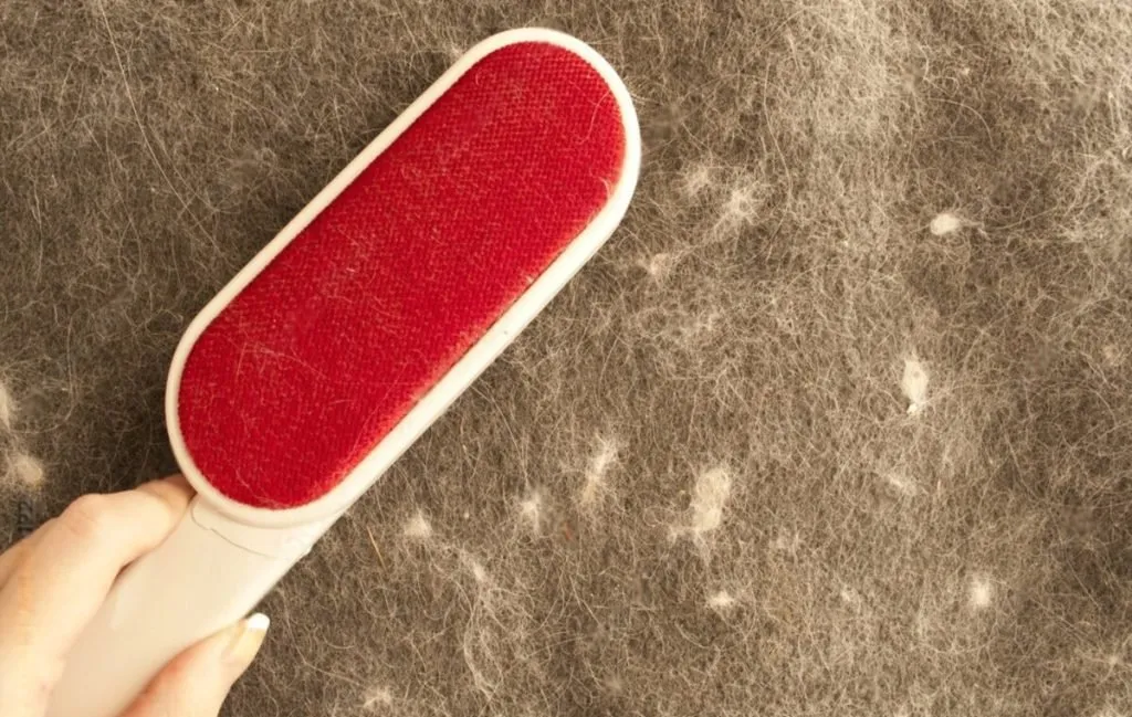 پرزگیر مبل مگنتی یکی از انواع پرزگیر