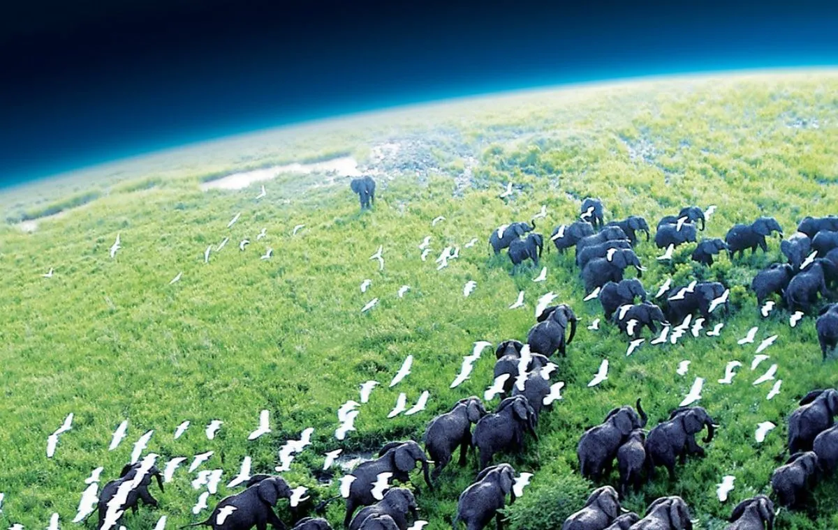 سیاره زمین (Planet Earth)