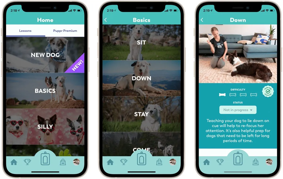 اپ مراقبت حیوانات خانگی