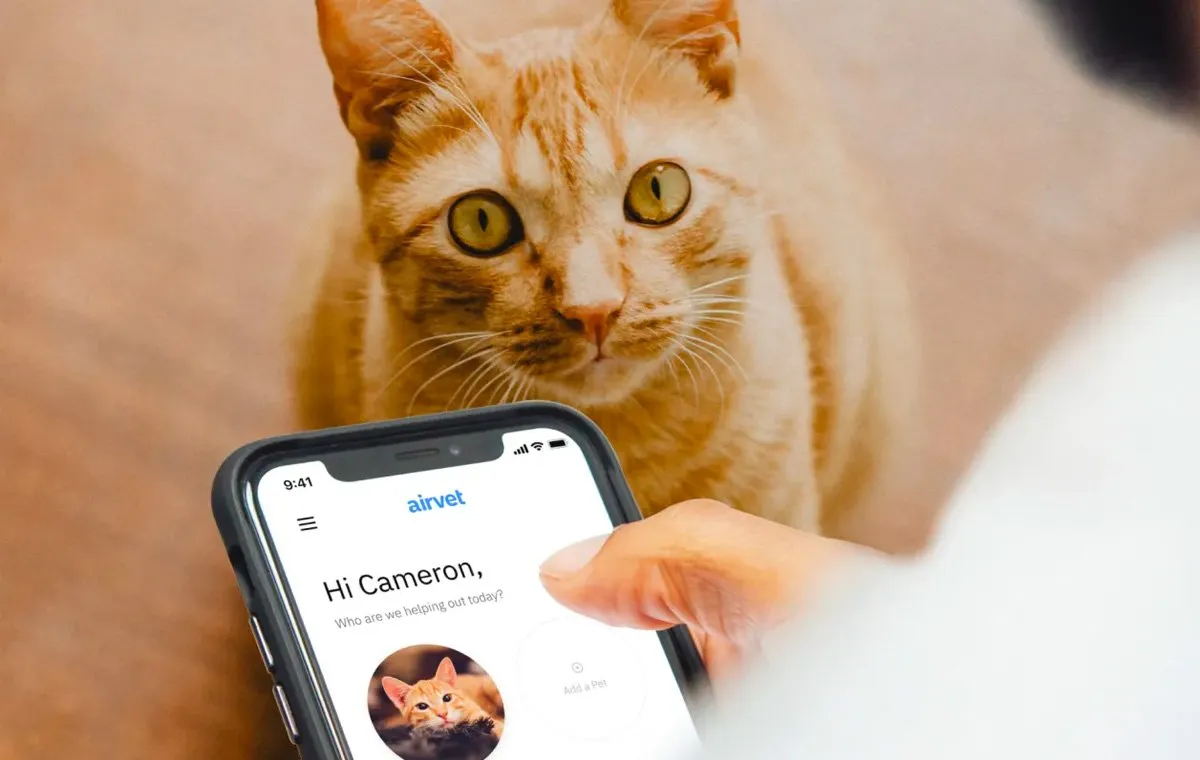  بهترین اپ برای مراقبت از حیوانات خانگی