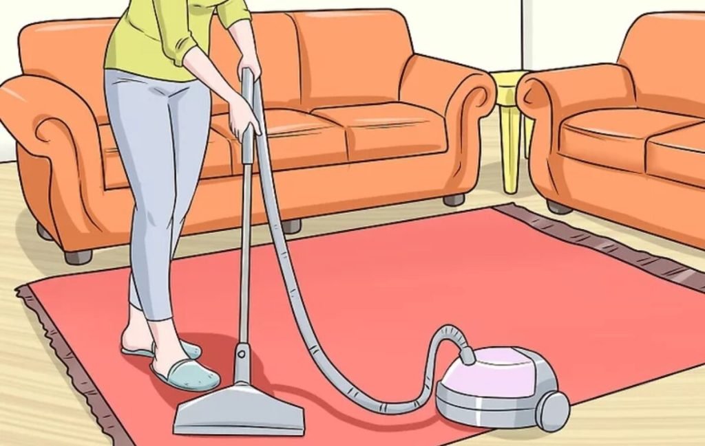 Quickly Clean Your House 6