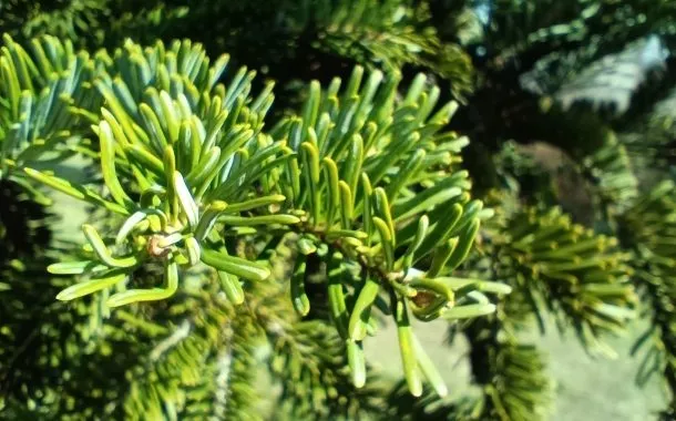 گلکسی A25 در مقابل ردمی نوت 12 پرو