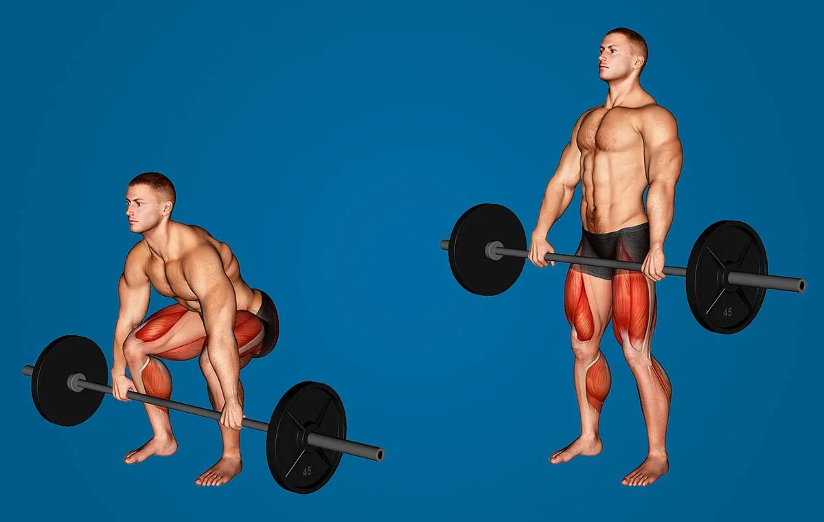 ددلیفت در تمرینات فانکشنال