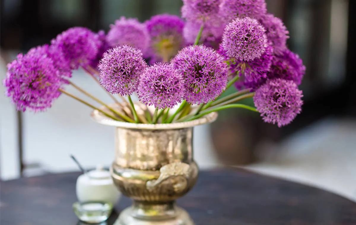 روش نگهداری از گل‌های تازه در خانه 