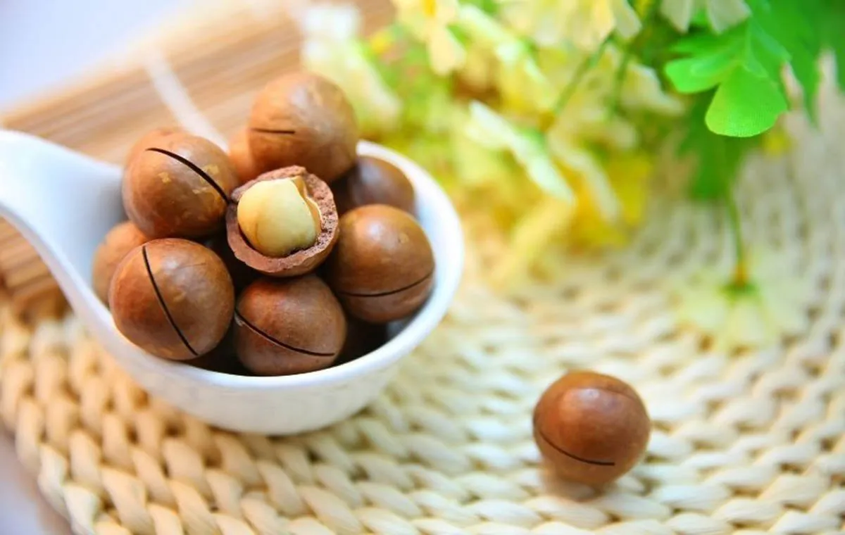 روغن ماکادمیا برای مو