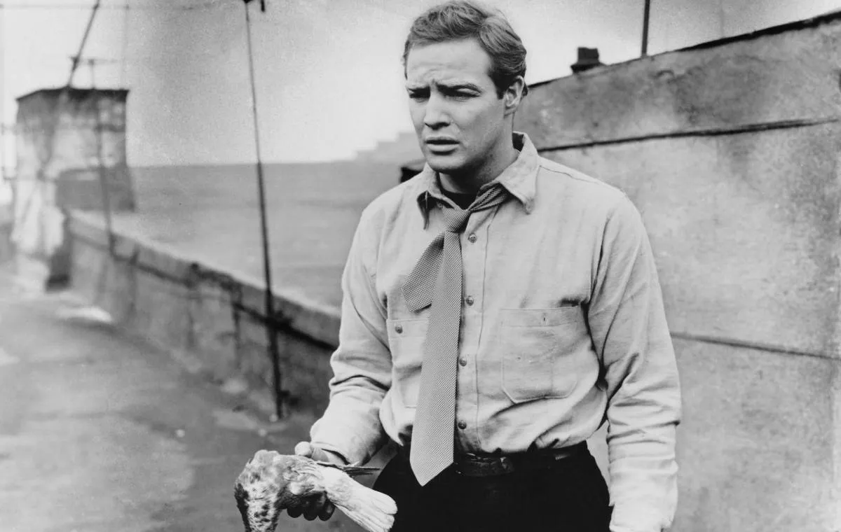 فیلم‌های برنده‌ی بیشترین اسکار