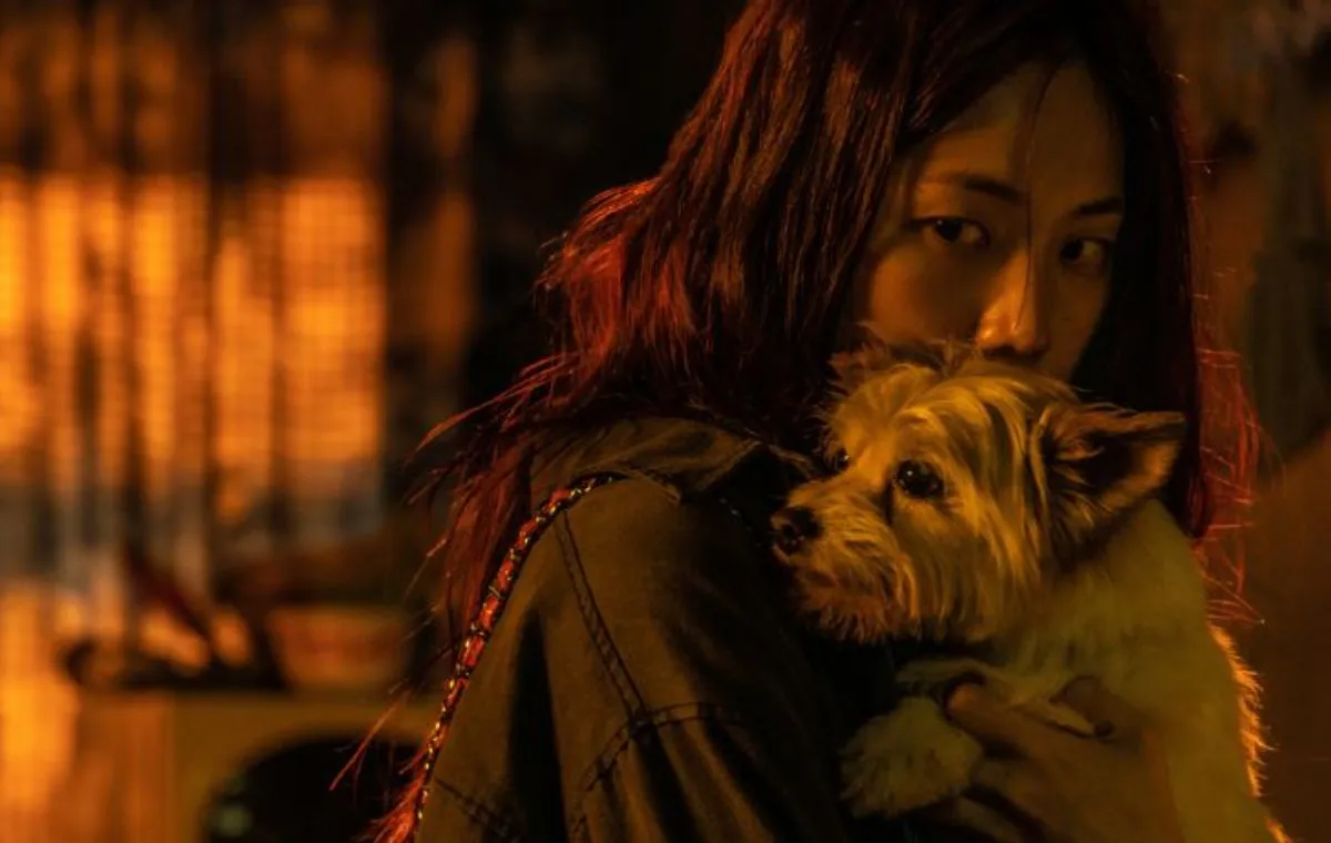 بهترین سریال‌های کره‌ای 2023 : سریال کره‌ای دختر نقاب‌دار