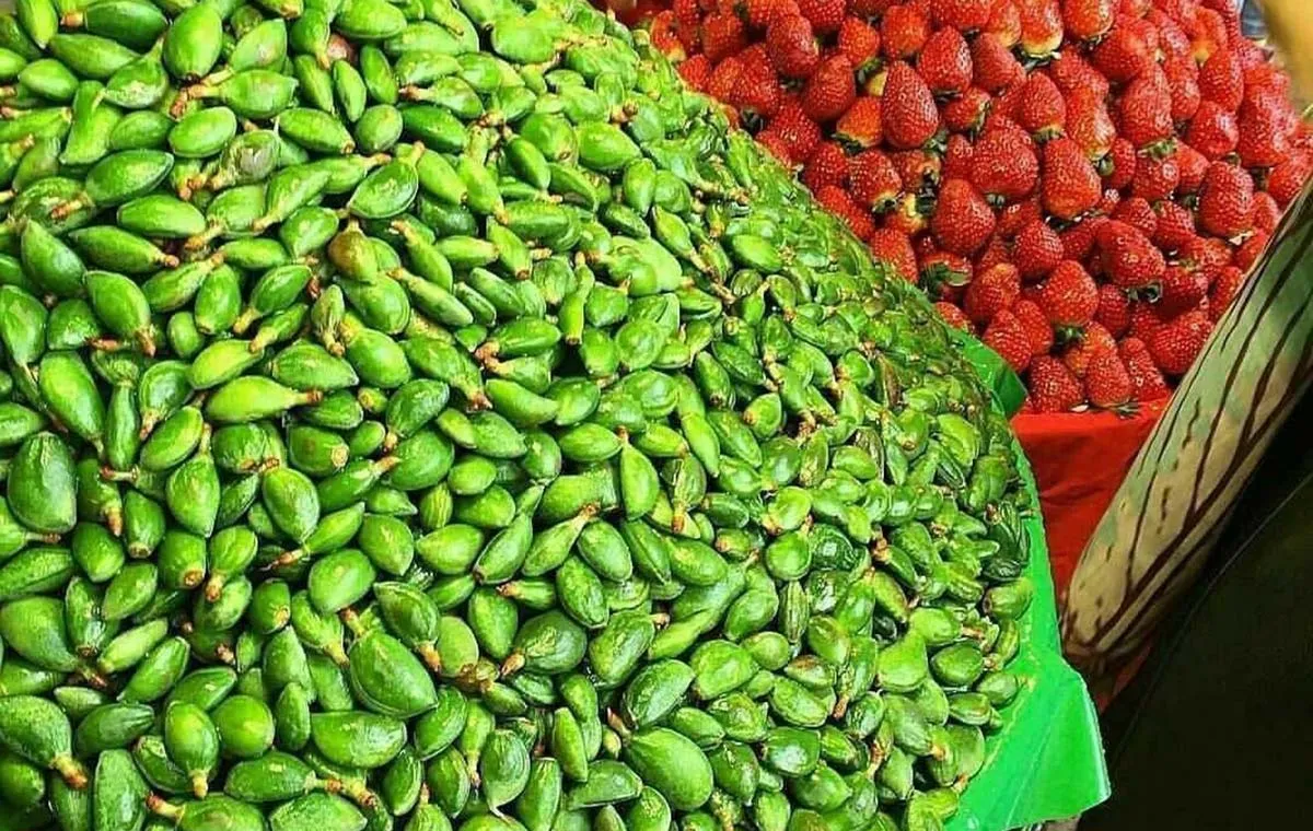 چغاله بادام