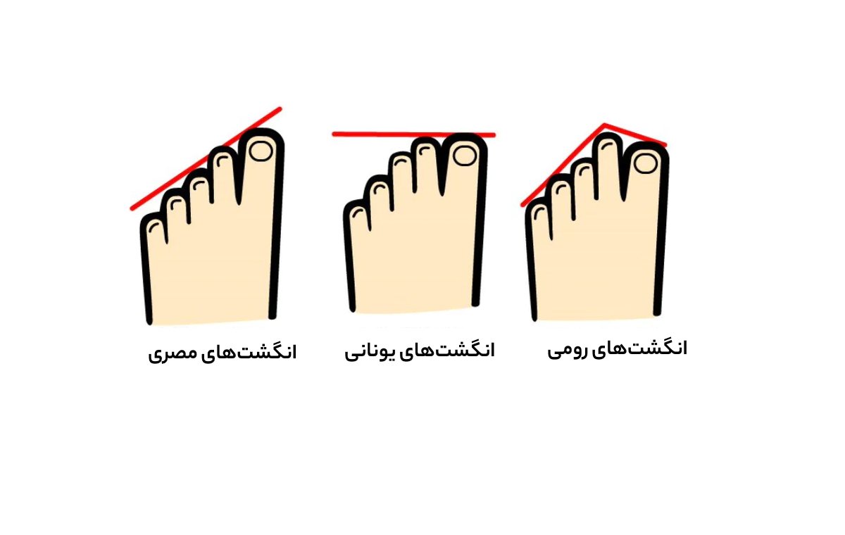 اهمیت فرم انگشت‌ها در انتخاب کفش مناسب