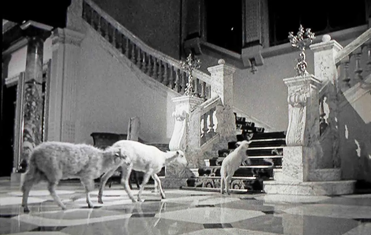 فیلم پیچیده ملک الموت