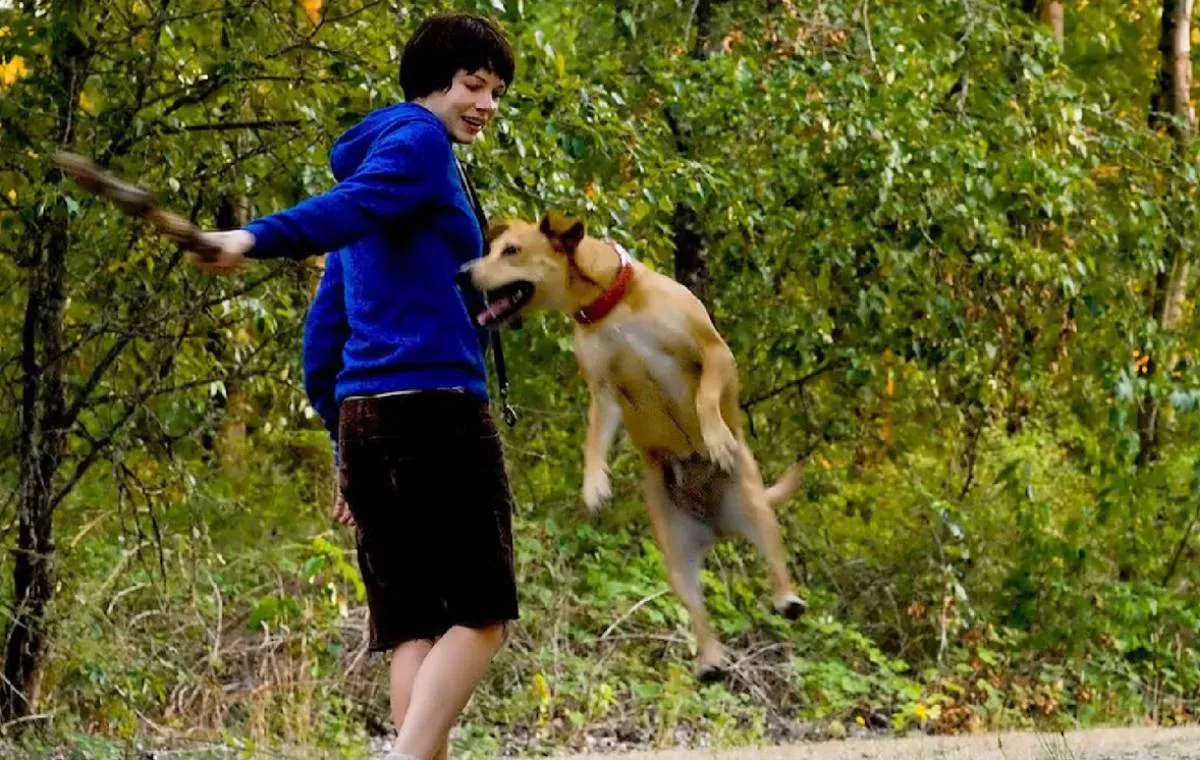 فیلم‌های پیشنهادی لیلی گلداستون