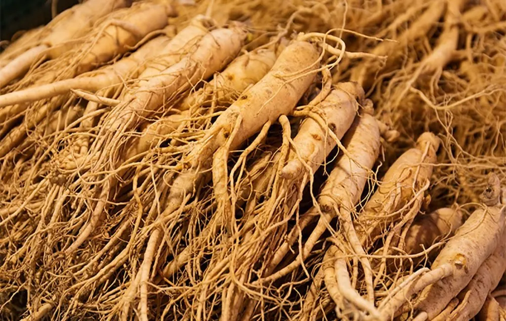 خواص جینسینگ