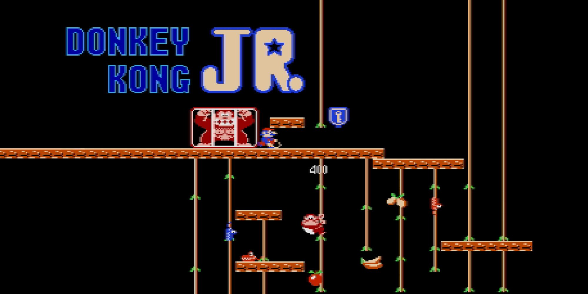 بازی Donkey Kong Jr. 