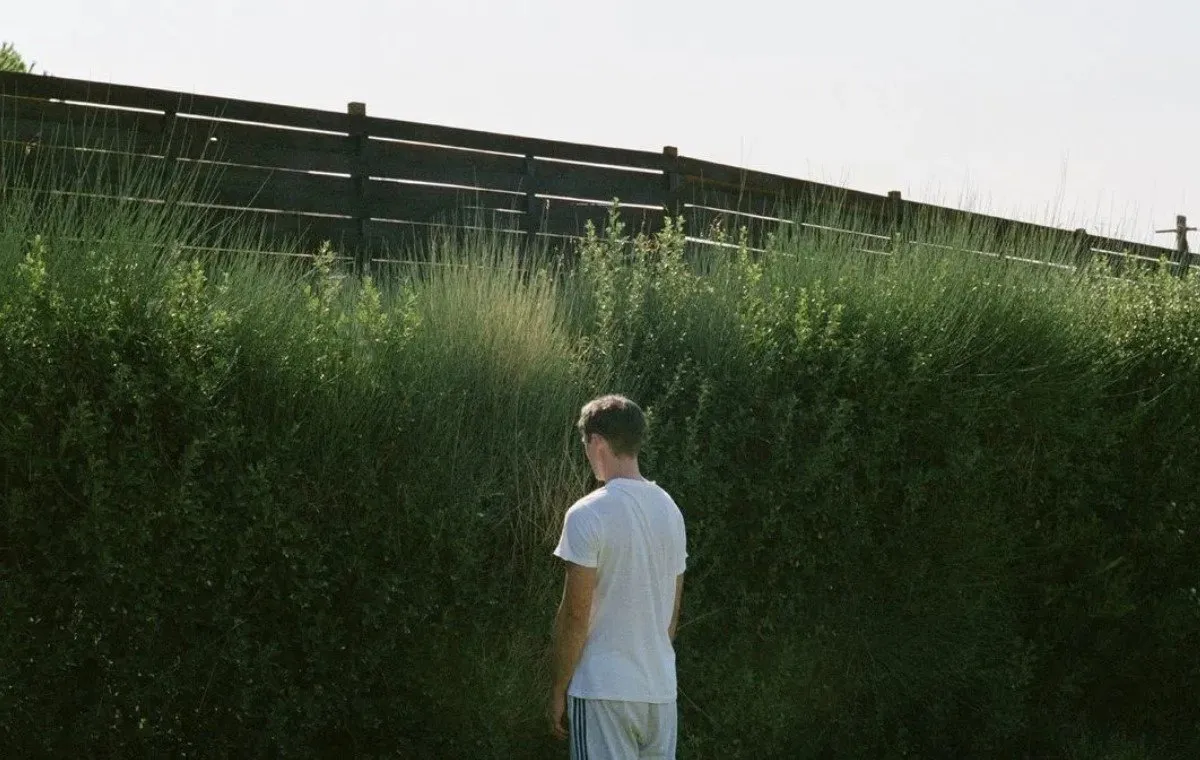 بهترین فیلمهای یورگوس لانتیموس