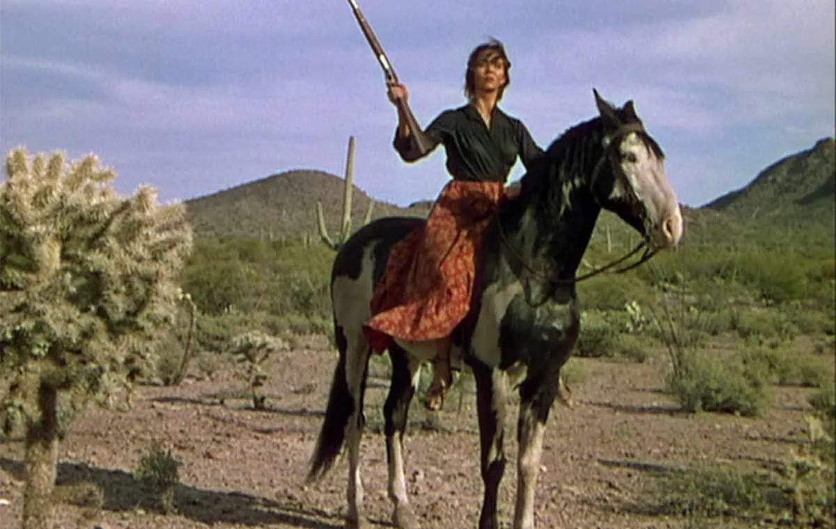 جدال در آفتاب