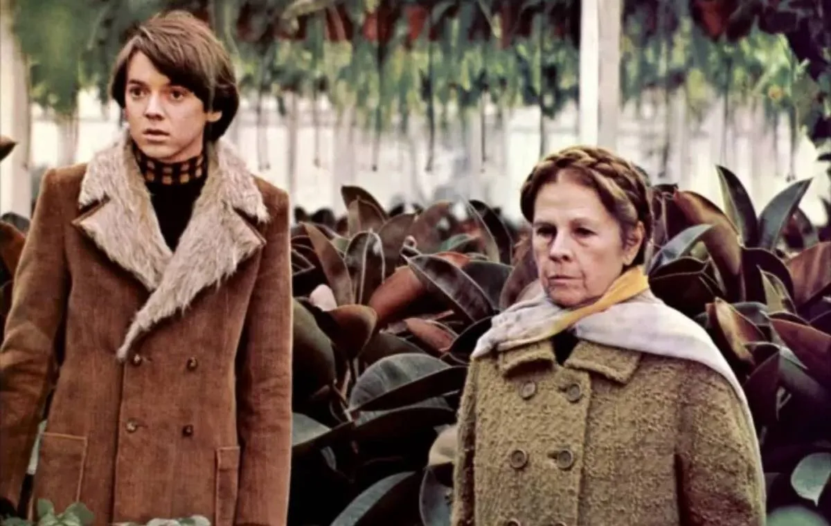 هارولد و ماد