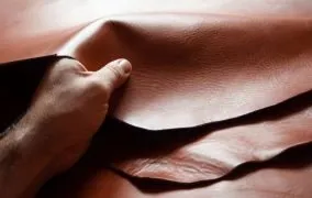 چرم سالامبور چیست و چه کاربردهایی دارد