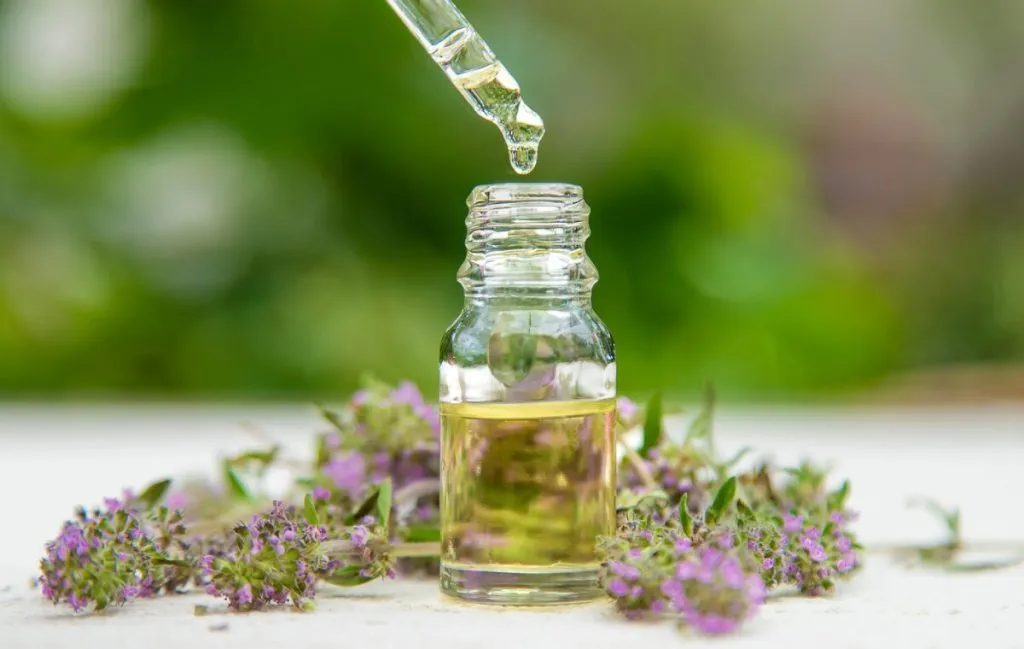 روغن آویشن برای روغن تراپی مو در خانه