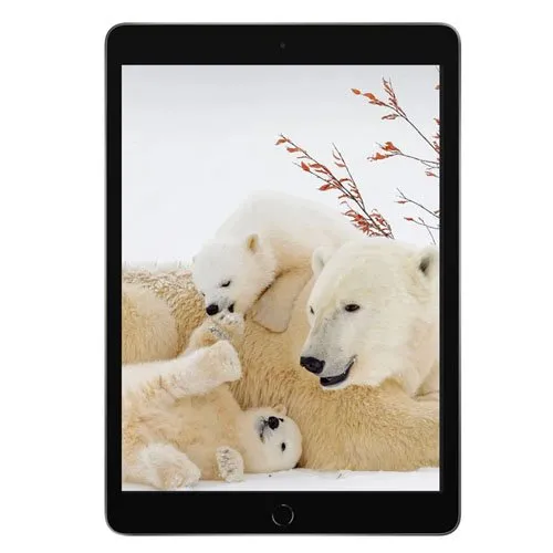 ارزان ترین آیپد