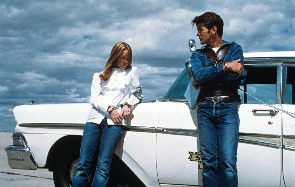 زمینهای لمیزرع