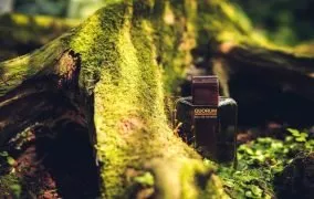 بهترین عطرهای چوبی مردانه