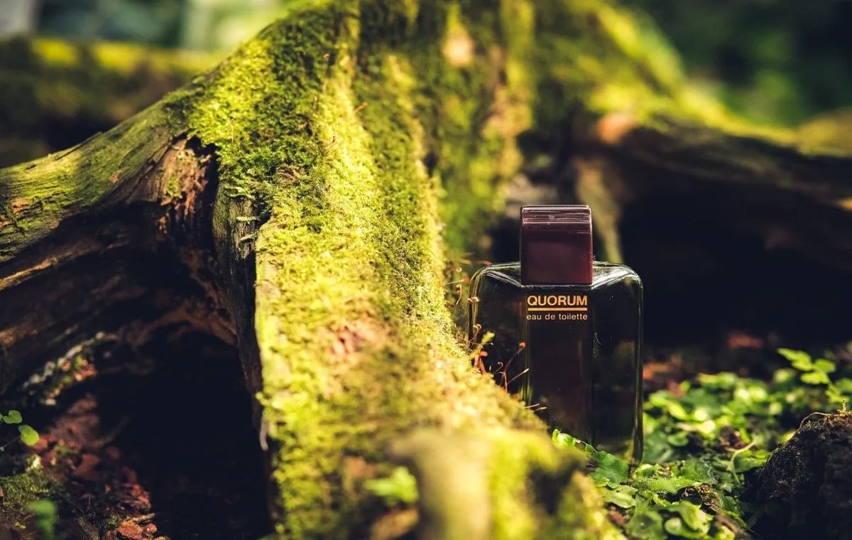 بهترین عطرهای چوبی مردانه